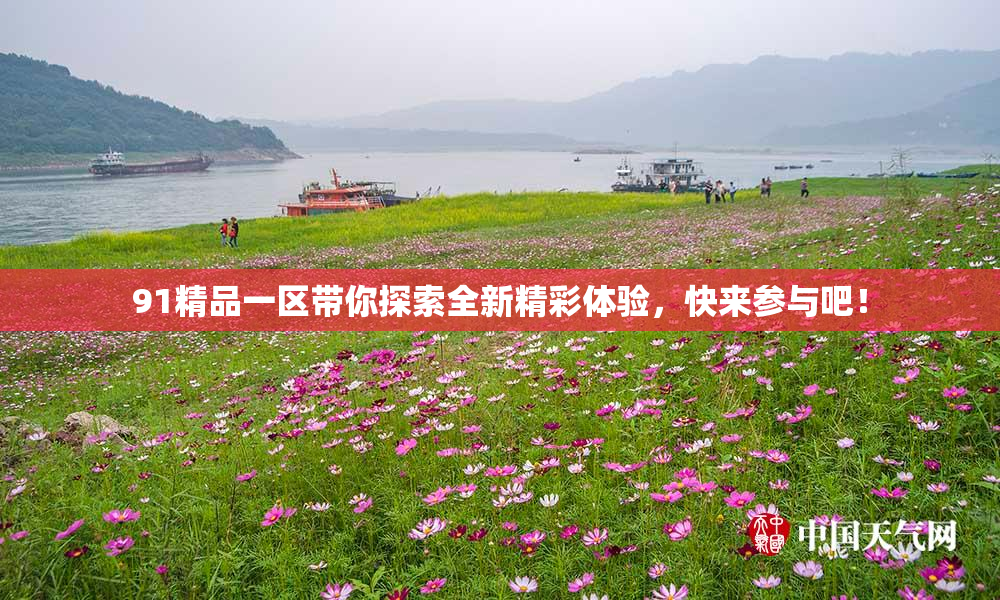 91精品一区带你探索全新精彩体验，快来参与吧！