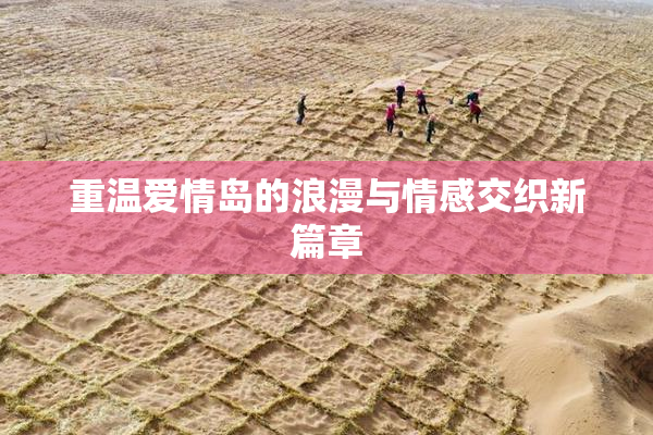 重温爱情岛的浪漫与情感交织新篇章