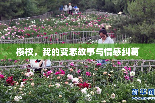 樱校，我的变态故事与情感纠葛