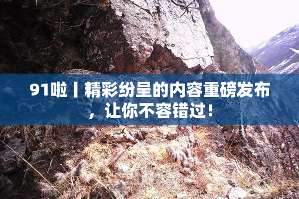 91啦丨精彩纷呈的内容重磅发布，让你不容错过！