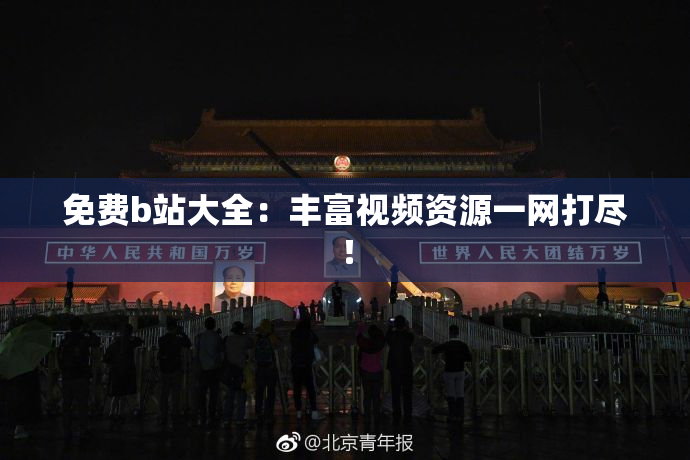 免费b站大全：丰富视频资源一网打尽！