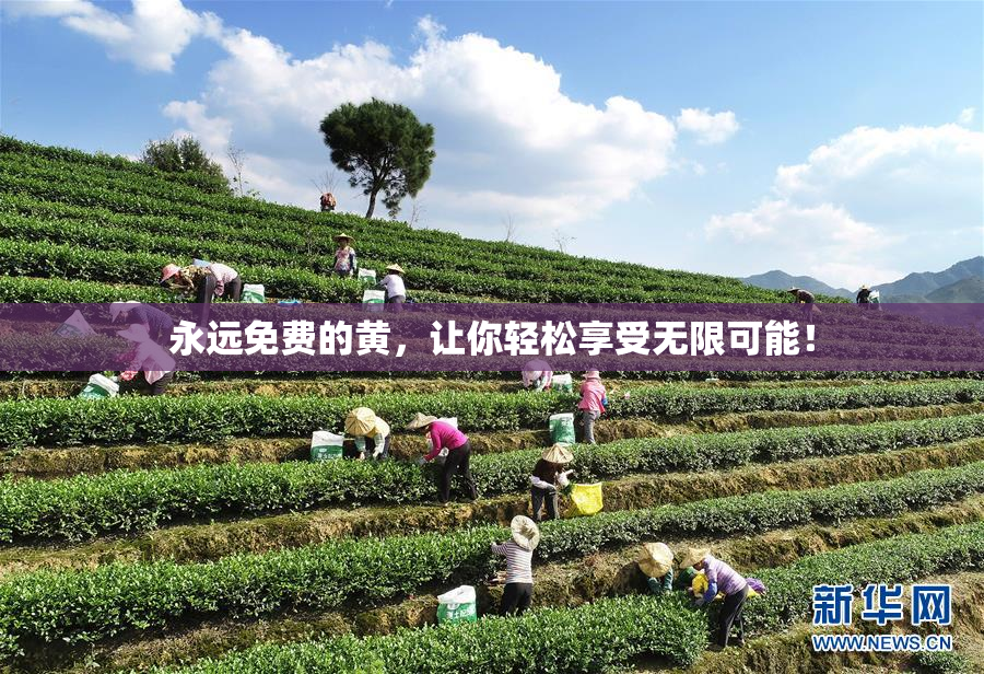 永远免费的黄，让你轻松享受无限可能！