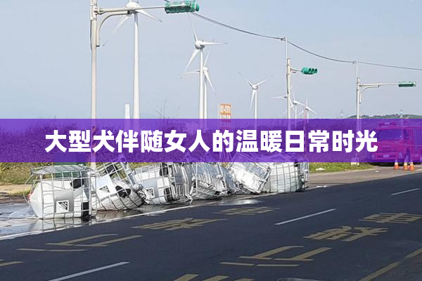 大型犬伴随女人的温暖日常时光