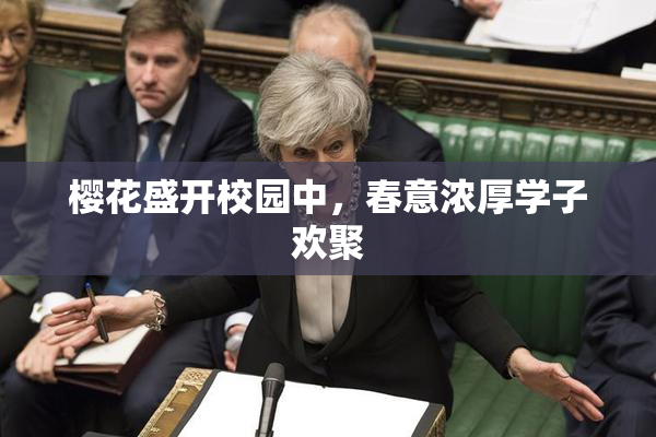樱花盛开校园中，春意浓厚学子欢聚