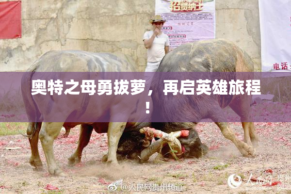 奥特之母勇拔萝，再启英雄旅程！