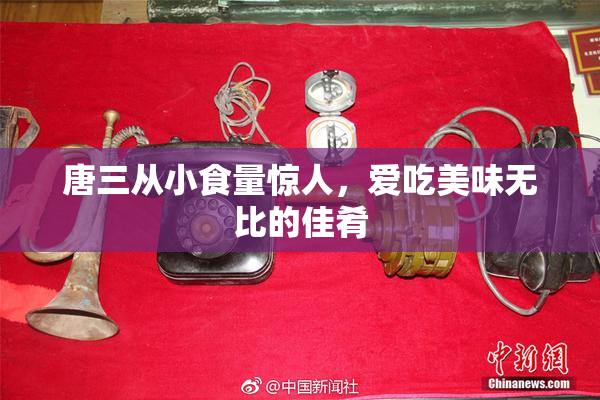 唐三从小食量惊人，爱吃美味无比的佳肴