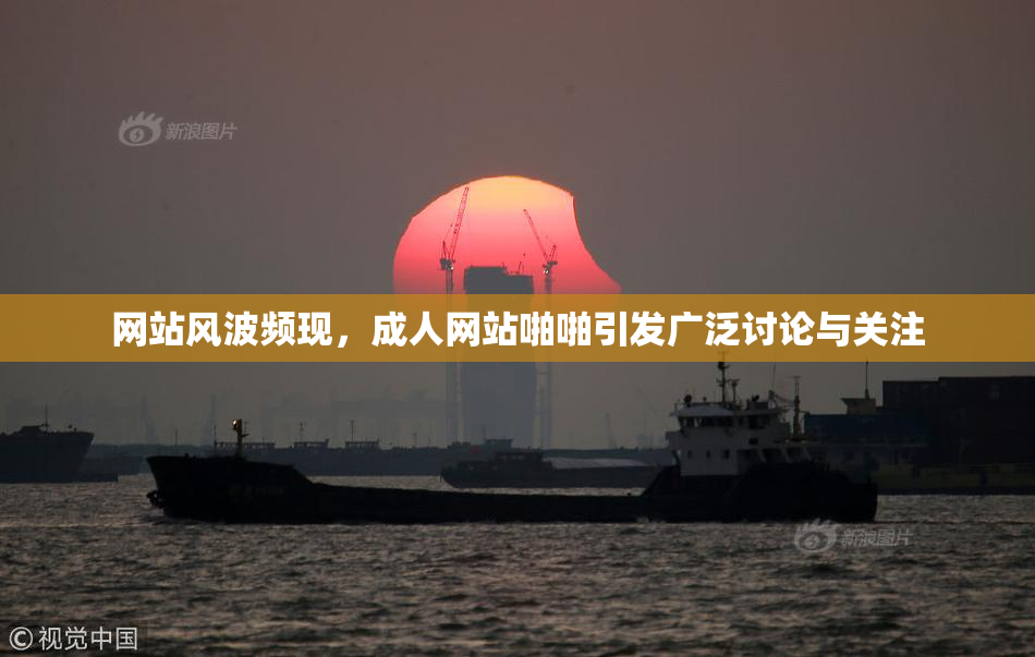 网站风波频现，成人网站啪啪引发广泛讨论与关注