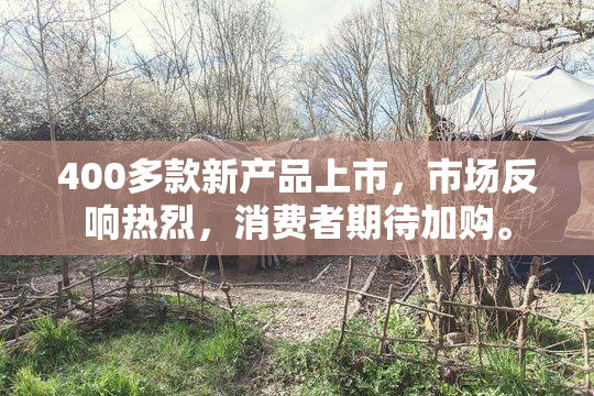 400多款新产品上市，市场反响热烈，消费者期待加购。