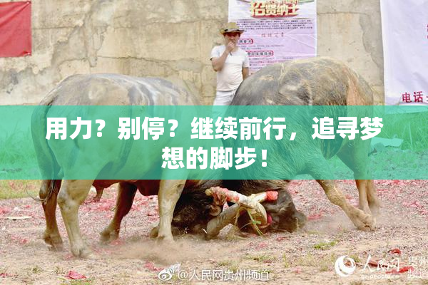 用力？别停？继续前行，追寻梦想的脚步！