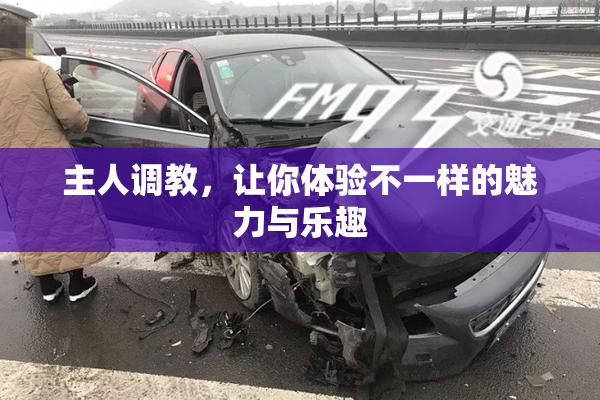 主人调教，让你体验不一样的魅力与乐趣
