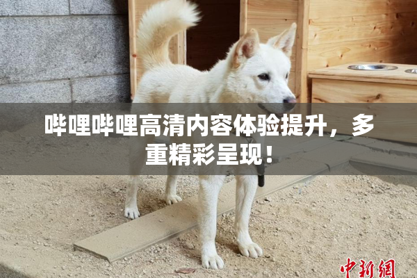 哔哩哔哩高清内容体验提升，多重精彩呈现！