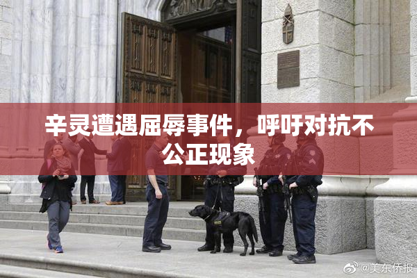 辛灵遭遇屈辱事件，呼吁对抗不公正现象