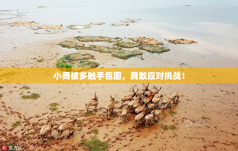 小舞被多触手包围，勇敢应对挑战！