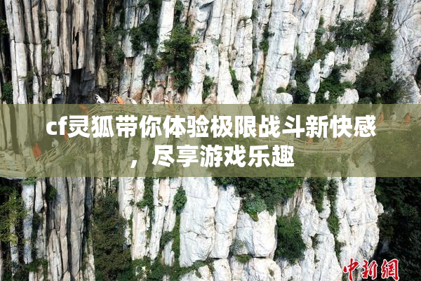 cf灵狐带你体验极限战斗新快感，尽享游戏乐趣