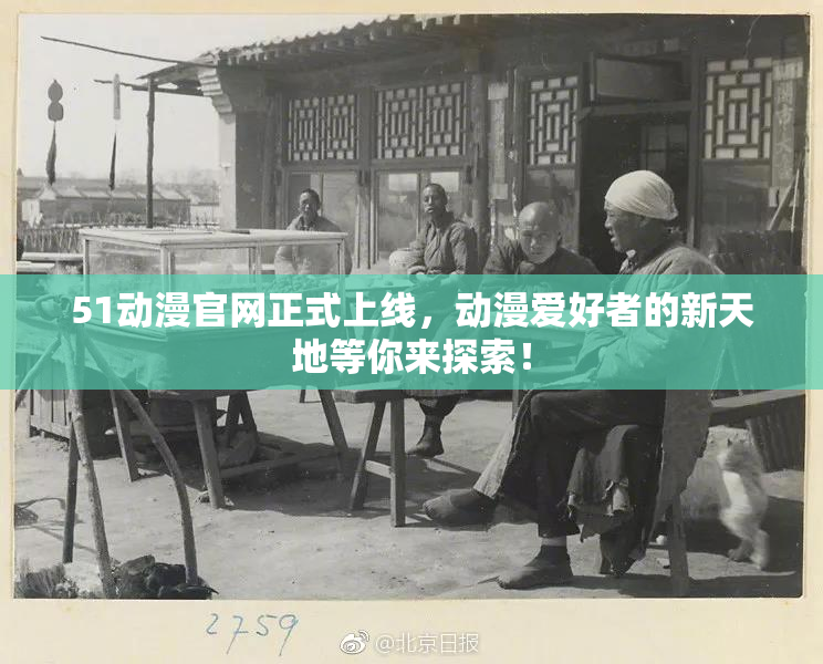 51动漫官网正式上线，动漫爱好者的新天地等你来探索！