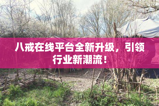 八戒在线平台全新升级，引领行业新潮流！