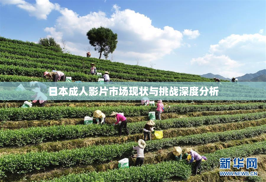 日本成人影片市场现状与挑战深度分析