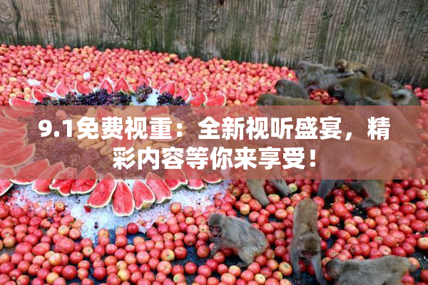 9.1免费视重：全新视听盛宴，精彩内容等你来享受！