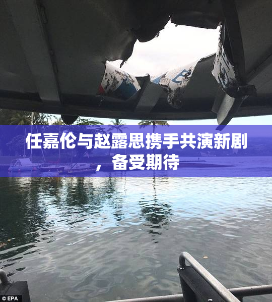 任嘉伦与赵露思携手共演新剧，备受期待