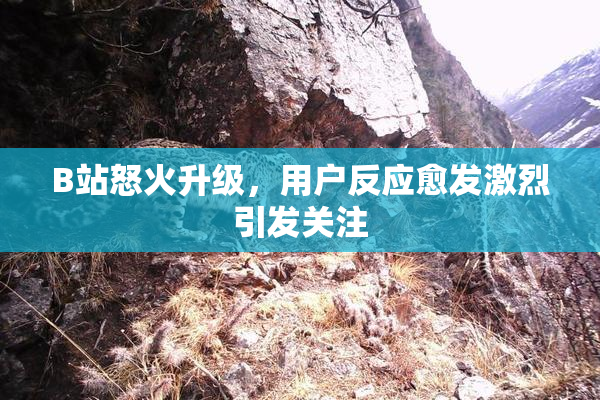 B站怒火升级，用户反应愈发激烈引发关注