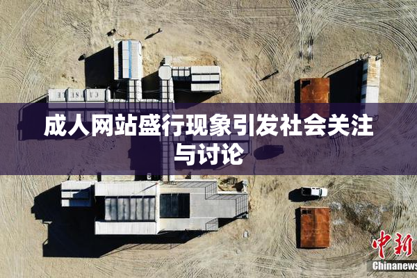 成人网站盛行现象引发社会关注与讨论