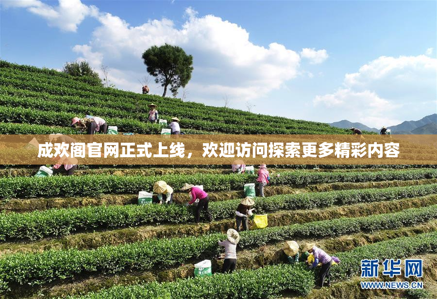 成欢阁官网正式上线，欢迎访问探索更多精彩内容