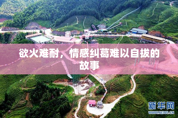 欲火难耐，情感纠葛难以自拔的故事