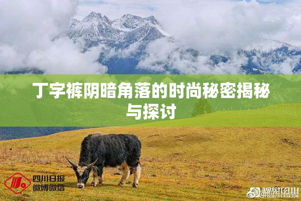 丁字裤阴暗角落的时尚秘密揭秘与探讨