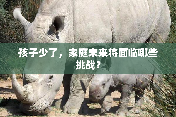 孩子少了，家庭未来将面临哪些挑战？