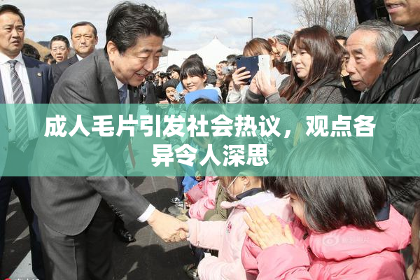 成人毛片引发社会热议，观点各异令人深思