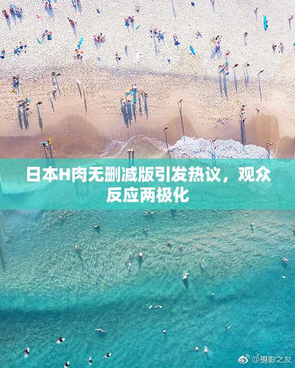 日本H肉无删减版引发热议，观众反应两极化
