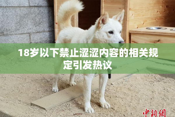 18岁以下禁止涩涩内容的相关规定引发热议