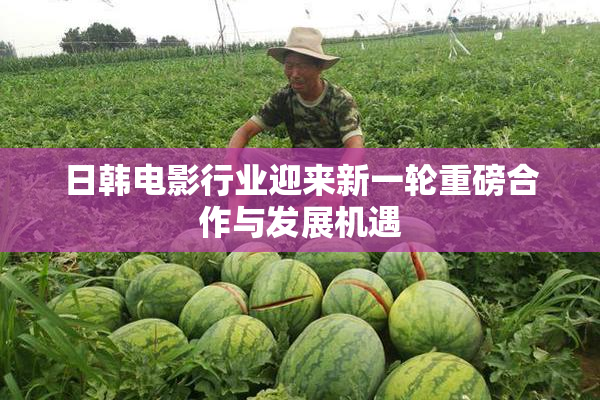 日韩电影行业迎来新一轮重磅合作与发展机遇