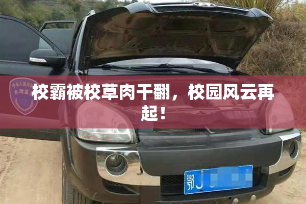 校霸被校草肉干翻，校园风云再起！