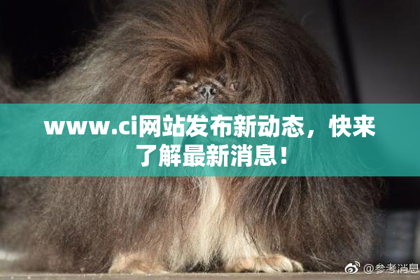 www.ci网站发布新动态，快来了解最新消息！