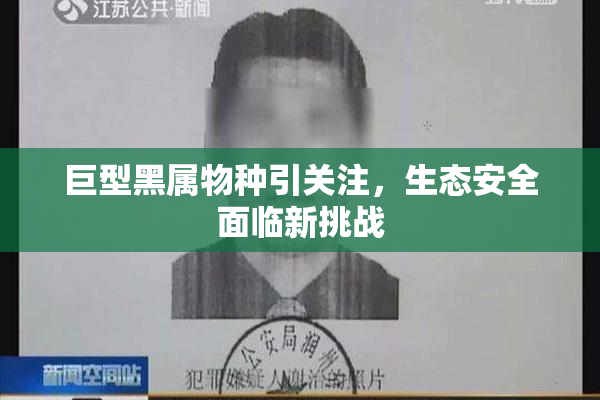 巨型黑属物种引关注，生态安全面临新挑战