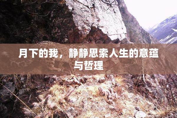 月下的我，静静思索人生的意蕴与哲理