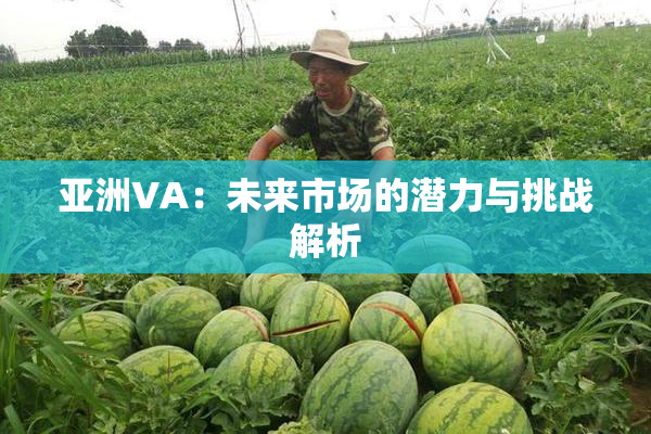亚洲VA：未来市场的潜力与挑战解析