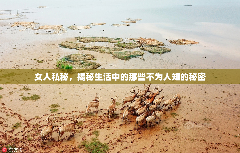 女人私秘，揭秘生活中的那些不为人知的秘密