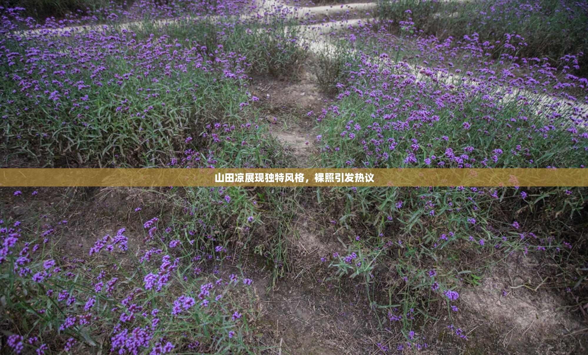 山田凉展现独特风格，裸照引发热议