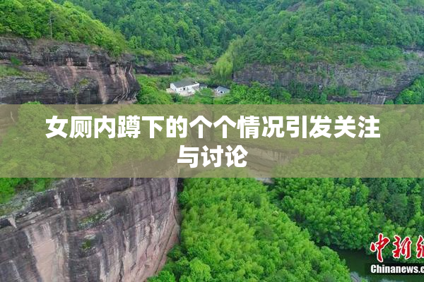 女厕内蹲下的个个情况引发关注与讨论