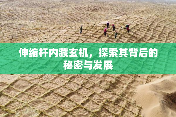 伸缩杆内藏玄机，探索其背后的秘密与发展