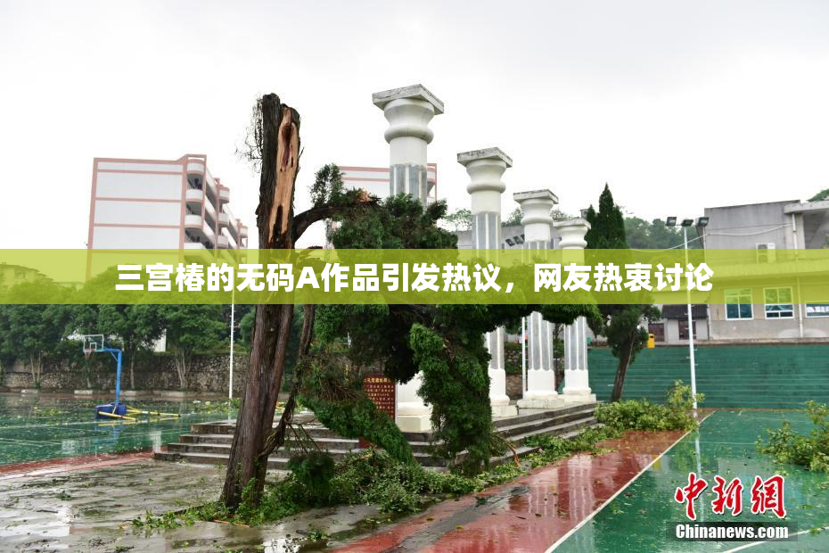 三宫椿的无码A作品引发热议，网友热衷讨论