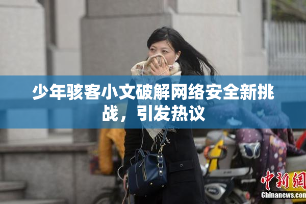 少年骇客小文破解网络安全新挑战，引发热议