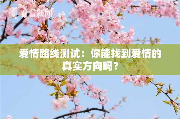 爱情路线测试：你能找到爱情的真实方向吗？