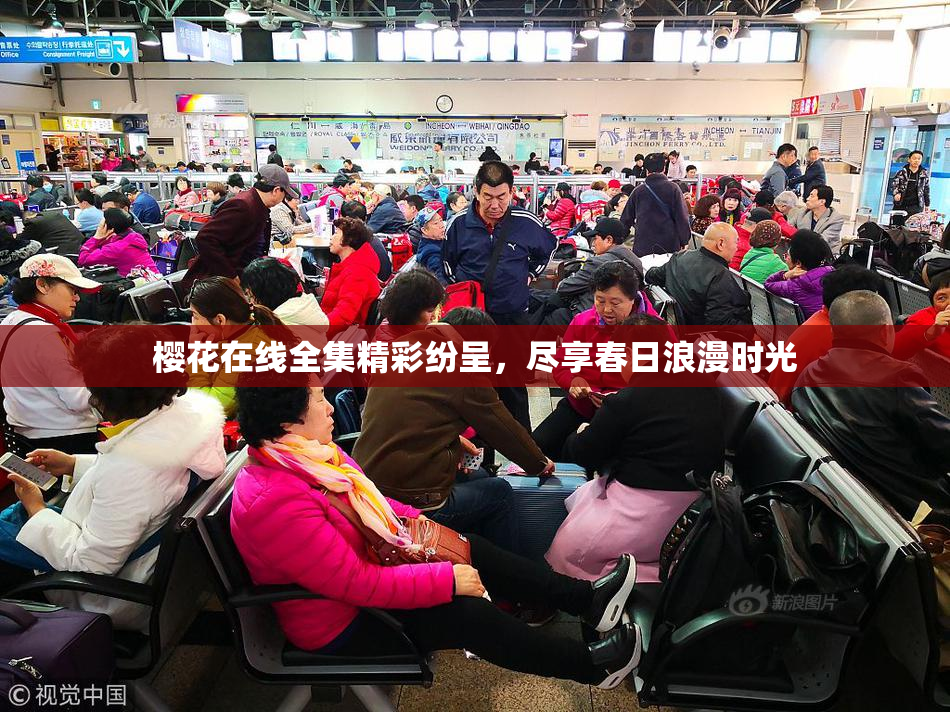 樱花在线全集精彩纷呈，尽享春日浪漫时光