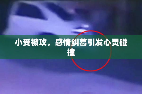 小受被攻，感情纠葛引发心灵碰撞