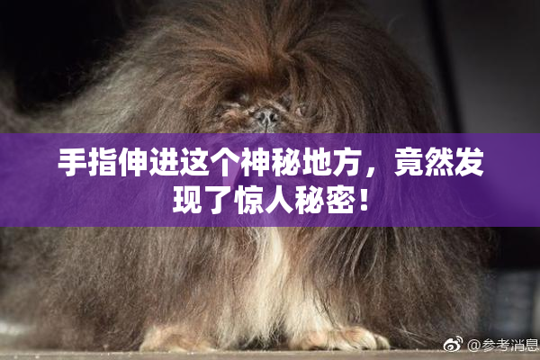 手指伸进这个神秘地方，竟然发现了惊人秘密！
