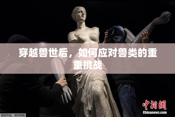 穿越兽世后，如何应对兽类的重重挑战