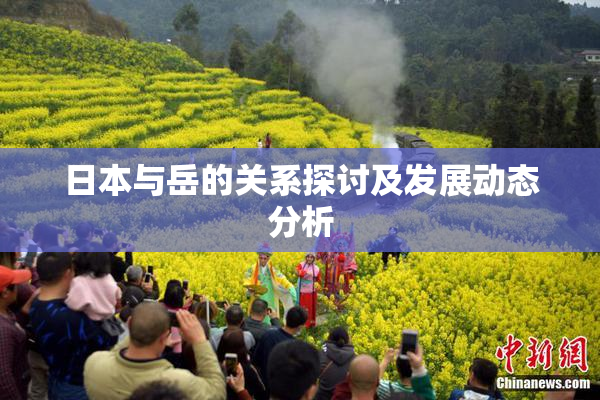 日本与岳的关系探讨及发展动态分析